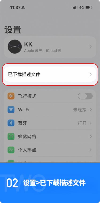 步骤2：设置 > 已下载描述文件